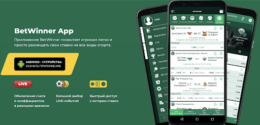 Everything You Need to Know About Betwinner 2